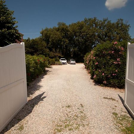 Chambres D'Hotes Le Mas Du Bijou Bleu Puget-sur Argens Εξωτερικό φωτογραφία