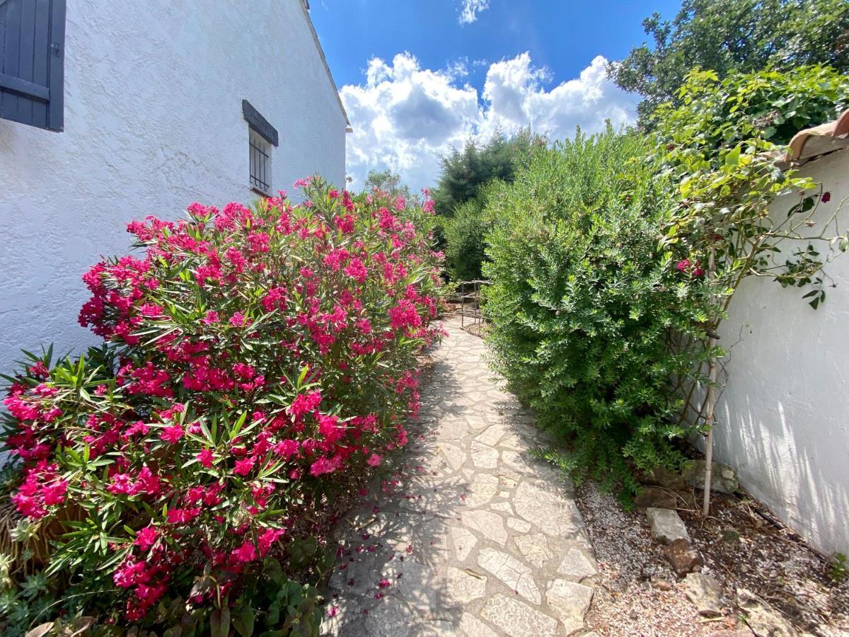 Chambres D'Hotes Le Mas Du Bijou Bleu Puget-sur Argens Εξωτερικό φωτογραφία