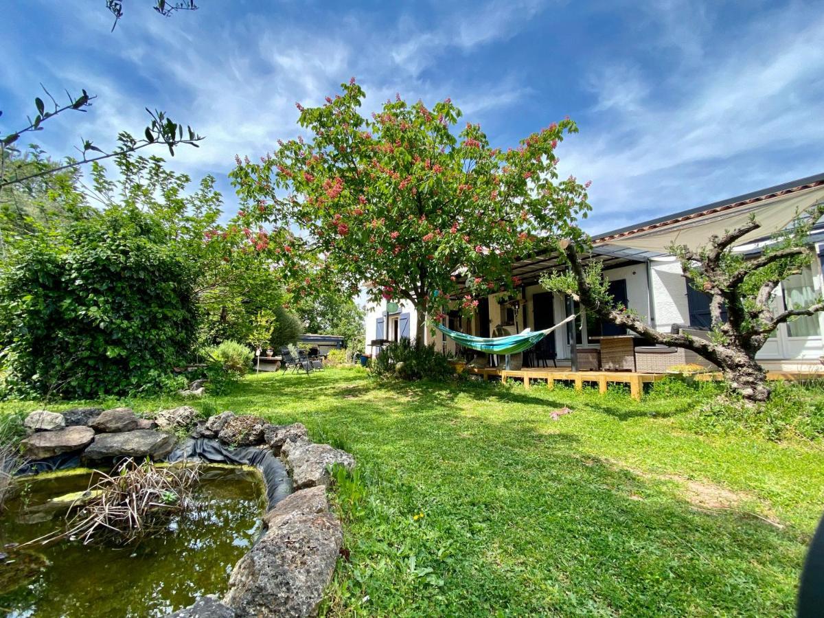 Chambres D'Hotes Le Mas Du Bijou Bleu Puget-sur Argens Εξωτερικό φωτογραφία