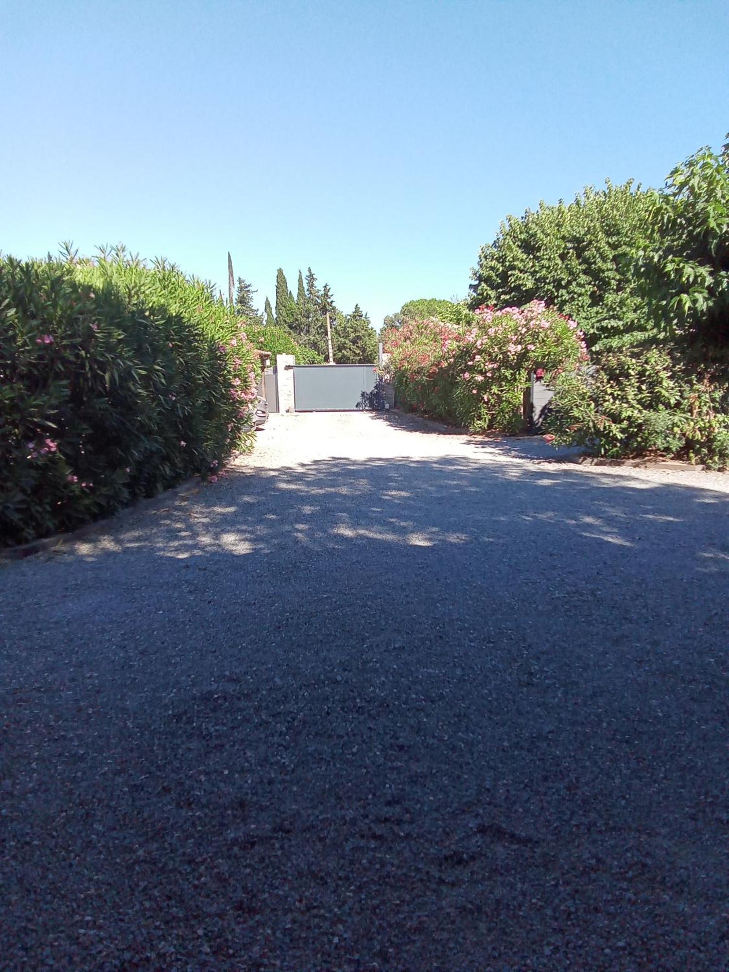 Chambres D'Hotes Le Mas Du Bijou Bleu Puget-sur Argens Εξωτερικό φωτογραφία
