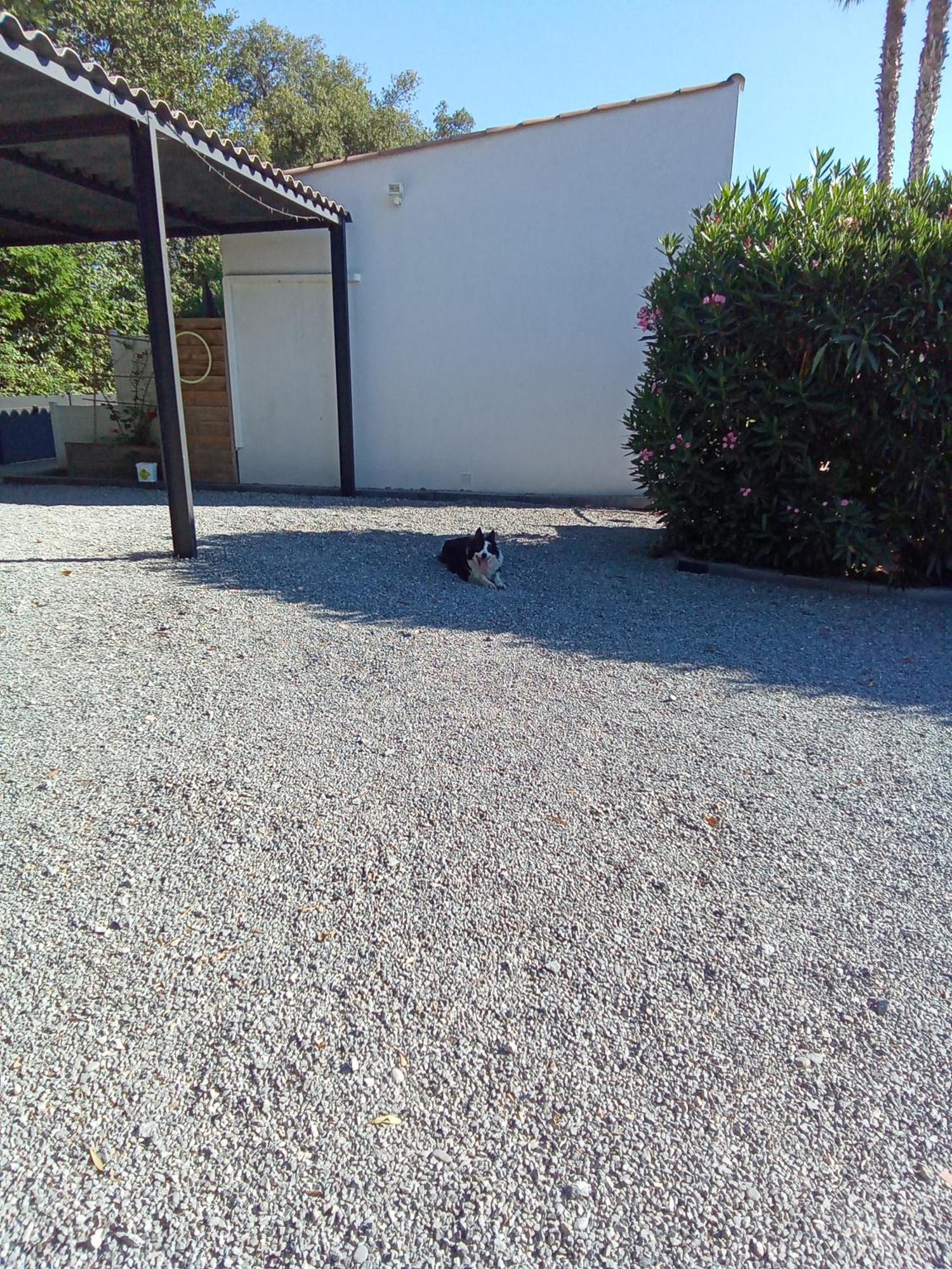 Chambres D'Hotes Le Mas Du Bijou Bleu Puget-sur Argens Εξωτερικό φωτογραφία