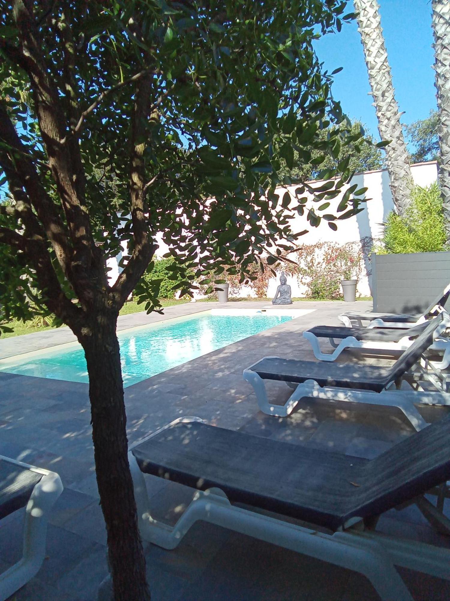 Chambres D'Hotes Le Mas Du Bijou Bleu Puget-sur Argens Εξωτερικό φωτογραφία