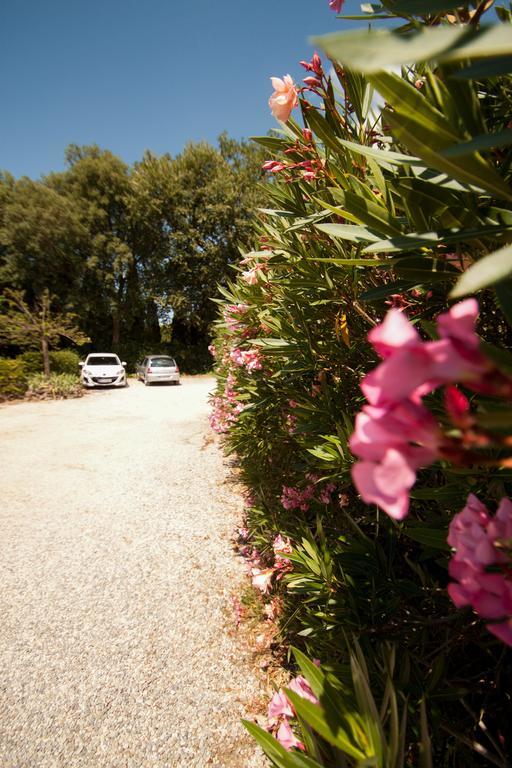 Chambres D'Hotes Le Mas Du Bijou Bleu Puget-sur Argens Εξωτερικό φωτογραφία